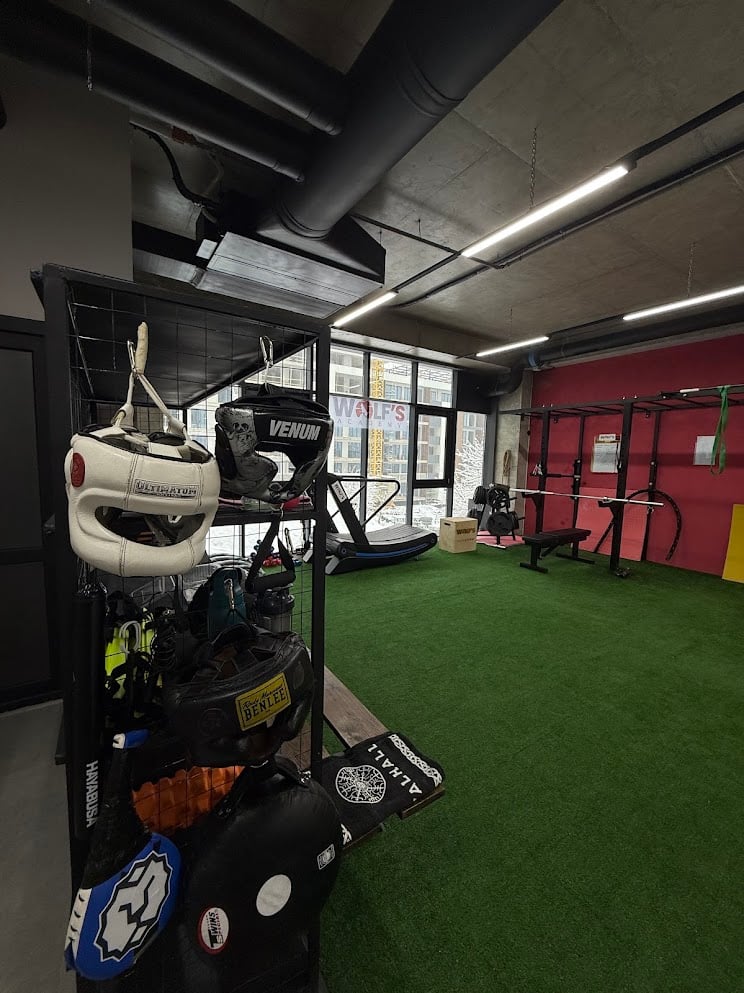 Wolf's Academy Gym